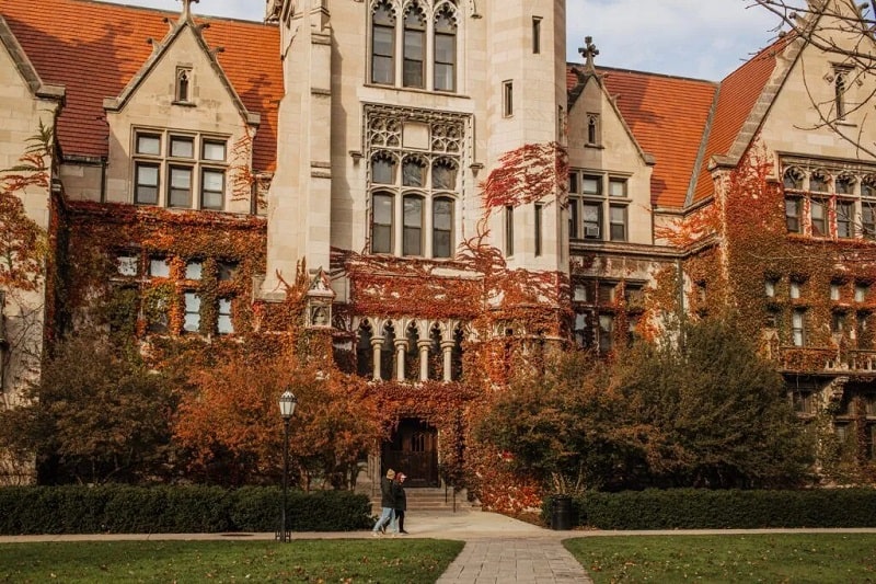 M.77King casino trực tuyến Chicago - The University of Chicago